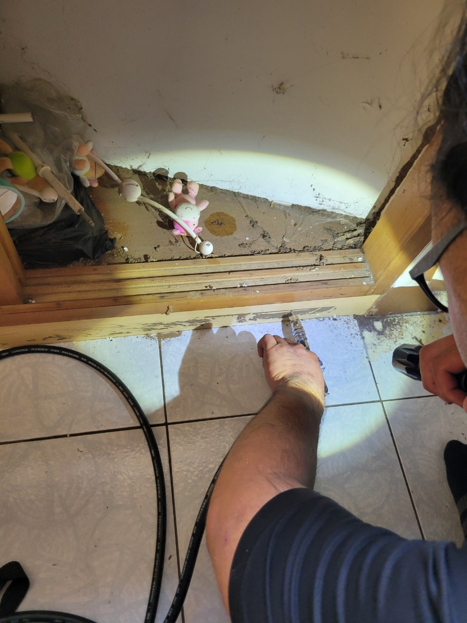 20231104白蟻防治的第4張圖片